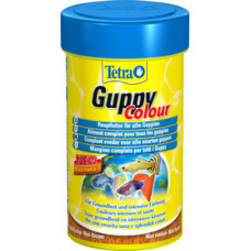Tetra Guppy Colour (мелкие хлопья) 250мл. для усиления окраски Гуппи и других живородящих рыб Tetra Guppy Colour (мелкие хлопья) 250мл. для усиления окраски Гуппи и других живородящих рыб